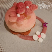 фото из отзыва ID 2702381