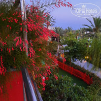 фото из отзыва ID 2702381