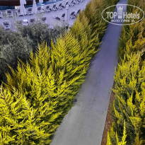 фото из отзыва ID 2702381