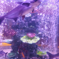 фото из отзыва ID 2702381