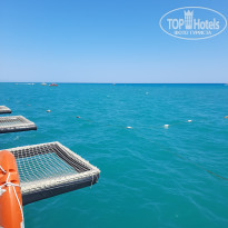 фото из отзыва ID 2702381