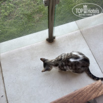 фото из отзыва ID 2702390