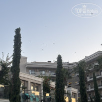 фото из отзыва ID 2702390