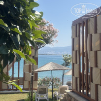 фото из отзыва ID 2702390