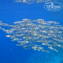 фото из отзыва ID 2702440