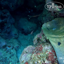 фото из отзыва ID 2702440