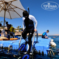 фото из отзыва ID 2702440