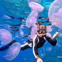 фото из отзыва ID 2702440