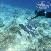 фото из отзыва ID 2702440