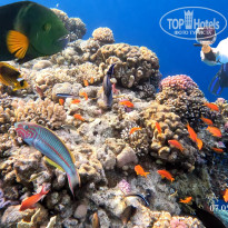 фото из отзыва ID 2702440