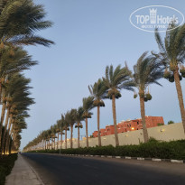 фото из отзыва ID 2702498