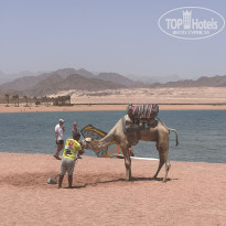 фото из отзыва ID 2702498