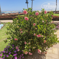 фото из отзыва ID 2702498