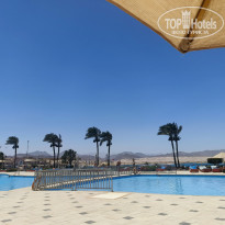 фото из отзыва ID 2702498