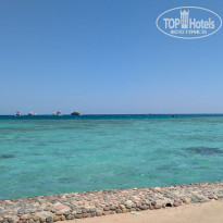 фото из отзыва ID 2702517