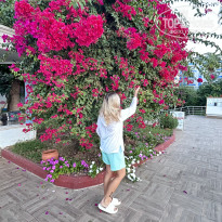 фото из отзыва ID 2702575