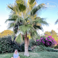 фото из отзыва ID 2702575