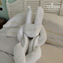 фото из отзыва ID 2702580