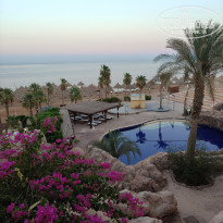 фото из отзыва ID 2702580