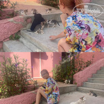 фото из отзыва ID 2702587