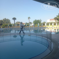 фото из отзыва ID 2702629