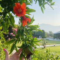 фото из отзыва ID 2702645