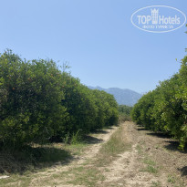 фото из отзыва ID 2702645