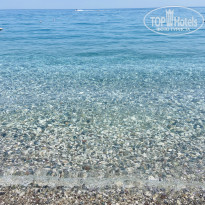 фото из отзыва ID 2702645