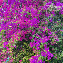 фото из отзыва ID 2702645