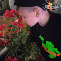 фото из отзыва ID 2702687