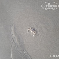 фото из отзыва ID 2702687