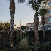 фото из отзыва ID 2702689