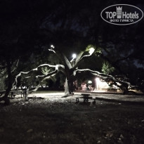 фото из отзыва ID 2702689