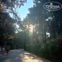 фото из отзыва ID 2702695