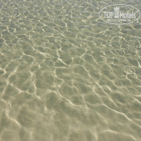 фото из отзыва ID 2702694