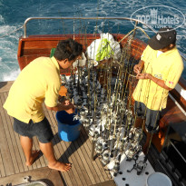 фото из отзыва ID 2702694