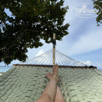 фото из отзыва ID 2702706