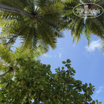 фото из отзыва ID 2702706