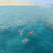 фото из отзыва ID 2702708