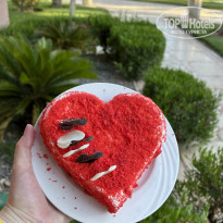 фото из отзыва ID 2702739
