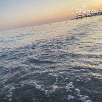 фото из отзыва ID 2702784