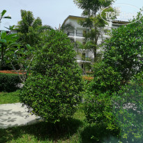 фото из отзыва ID 2702805