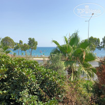 фото из отзыва ID 2702782