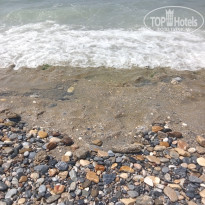 фото из отзыва ID 2702782