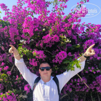 фото из отзыва ID 2702946