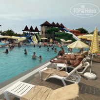 фото из отзыва ID 2702945