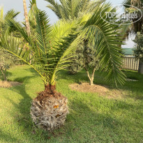 фото из отзыва ID 2702945