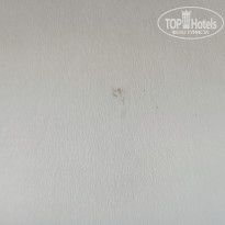 фото из отзыва ID 2703003