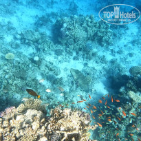 фото из отзыва ID 2702440