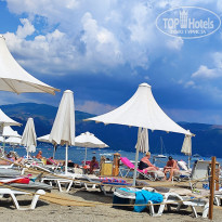 фото из отзыва ID 2703047